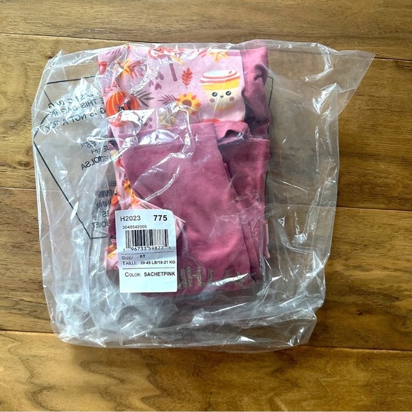 Brand New Toddler Girls Pumpkin Spice 2-Piece Set Long Sleeve Top & Leggings, 5T - Picture 3 of 3